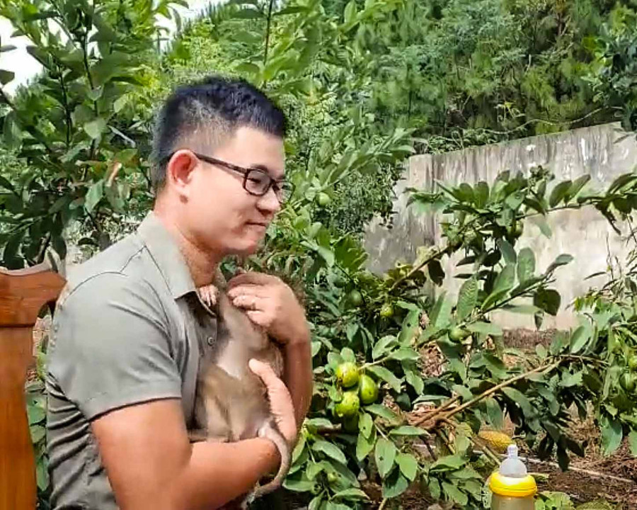 Những chú khỉ quấn quýt anh Vũ Văn Tuyền sau thời gian được anh chăm sóc. Ảnh: Hoàng Ngọc Những chú khỉ quấn quýt anh Vũ Văn Tuyền sau thời gian được anh chăm sóc. Ảnh: Hoàng Ngọc