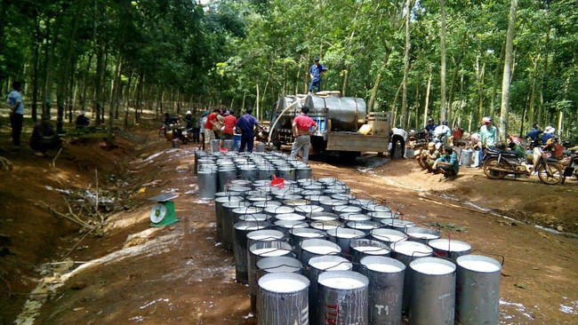 Thu mua mủ cao su ở Bình Phước. Ảnh IT