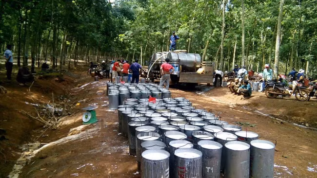 Thu mua mủ cao su ở Bình Phước. Ảnh IT Thu mua mủ cao su ở Bình Phước. Ảnh IT