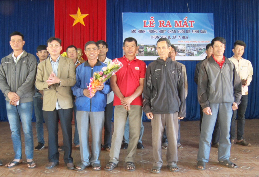 Ra mắt Nông hội chăn nuôi dê sinh sản thôn Sur B, xã Ia Hla. Ảnh: Chi Quân  Ra mắt Nông hội nuôi dê của thôn Sur B, xã Ia Hla. Ảnh: Chi Quân