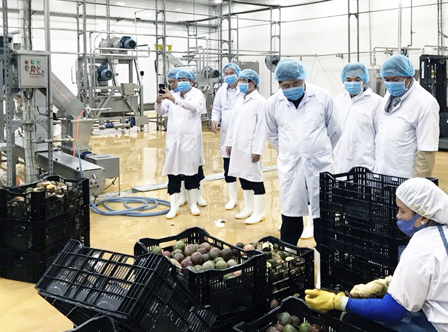 Đoàn công tác tham quan dây chuyền sản xuất của Nhà máy chế biến rau quả (DOVECO Gia Lai). Ảnh: Lê Nam Đoàn công tác tham quan dây chuyền sản xuất của Nhà máy chế biến rau quả (DOVECO Gia Lai). Ảnh: Lê Nam