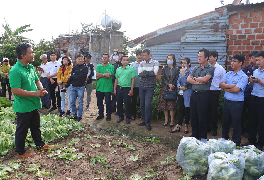 Các đại biểu tìm hiểu mô hình phát triển sản xuất rau màu của Hợp tác xã Nông nghiệp và Dịch vụ An Trường Phát. Ảnh: Nguyễn Diệp Ông Đoàn Ngọc Có-Phó Giám đốc Sở Nông nghiệp và PTNT: Theo định hướng đến năm 2030, toàn tỉnh có khoảng 45.000 ha rau, củ và khoảng 55.000 ha cây ăn quả. Thời gian tới, tỉnh sẽ đẩy mạnh hoạt động xúc tiến thương mại với thị trường tiềm năng như: Đà Nẵng, Quy Nhơn, Huế, Hà Nội, TP. Hồ Chí Minh và các nước EU, Trung Quốc, Mỹ, Hàn Quốc, Nhật Bản.