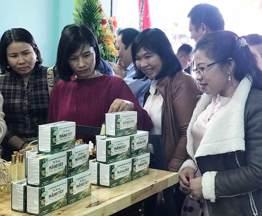 Các đại biểu tham quan điểm giới thiệu và bán sản phẩm OCOP tỉnh. Ảnh: Vũ Thảo Các đại biểu tham quan điểm giới thiệu và bán sản phẩm OCOP tỉnh. Ảnh: Vũ Thảo