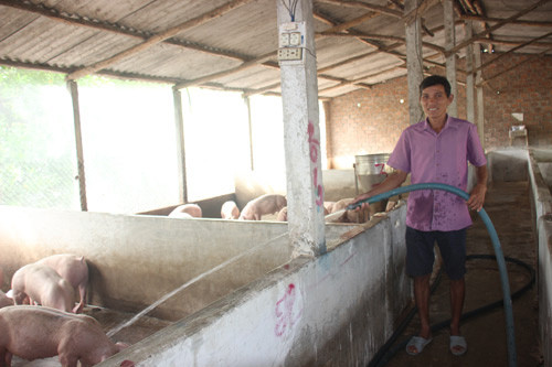 Nông dân Việt Nam xuất sắc Nguyễn Ngọc Sang ở xã Cát Hiệp, huyện Phù Cát. Nông dân Việt Nam xuất sắc Nguyễn Ngọc Sang ở xã Cát Hiệp, huyện Phù Cát.