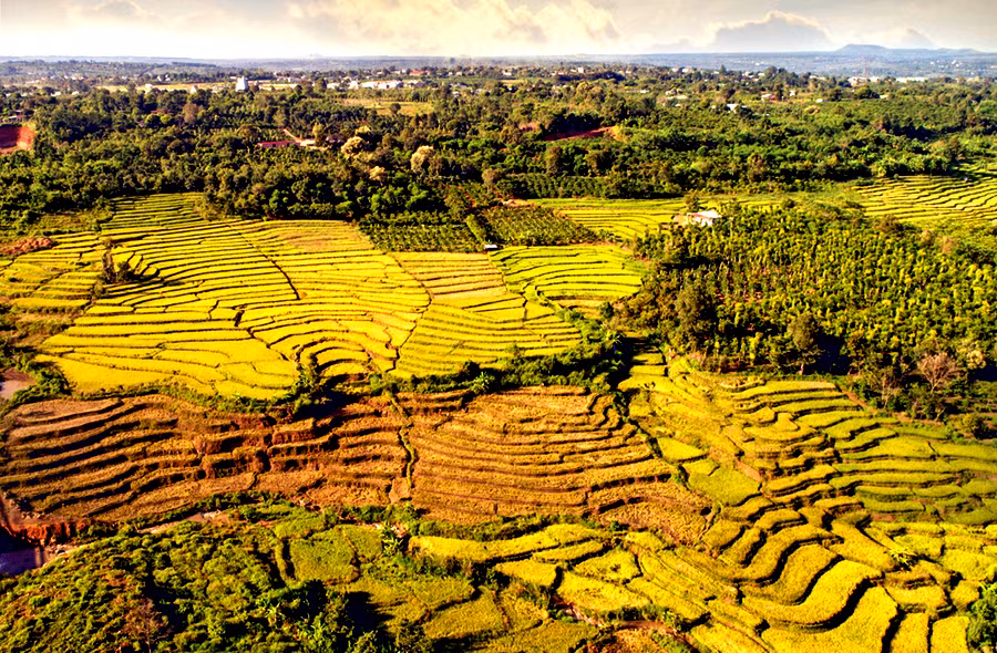 Ảnh minh họa: Hùng Hoa Lư