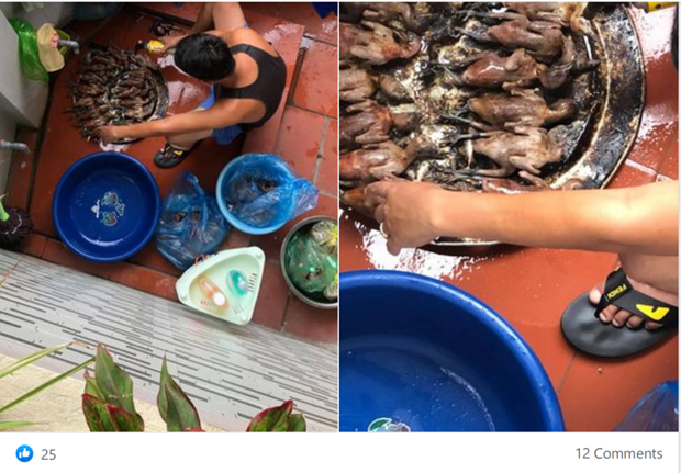 Chim hoang dã đã vặt lông, thui sống được các con buôn rao bán tràn lan trên mạng facebook. Chim hoang dã đã vặt lông, thui sống được các con buôn rao bán tràn lan trên mạng facebook.