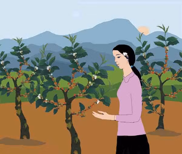 Minh họa: Huyền Trang