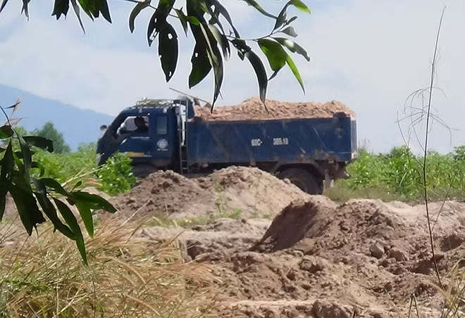 Xe ben liên tục ra vào “mỏ” của doanh nghiệp K.M chở cát lậu