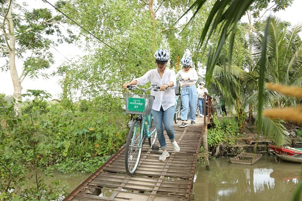 Hình ảnh quen thuộc trên những cù lao nhỏ miền Tây sông nước. (Ảnh: CTV/Vietnam+)