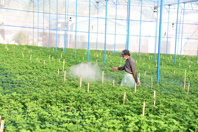 Việc lạm dụng phân bón và thuốc bảo vệ thực vật đã làm đất bị thoái hóa, chất lượng nông sản bị suy giảm.