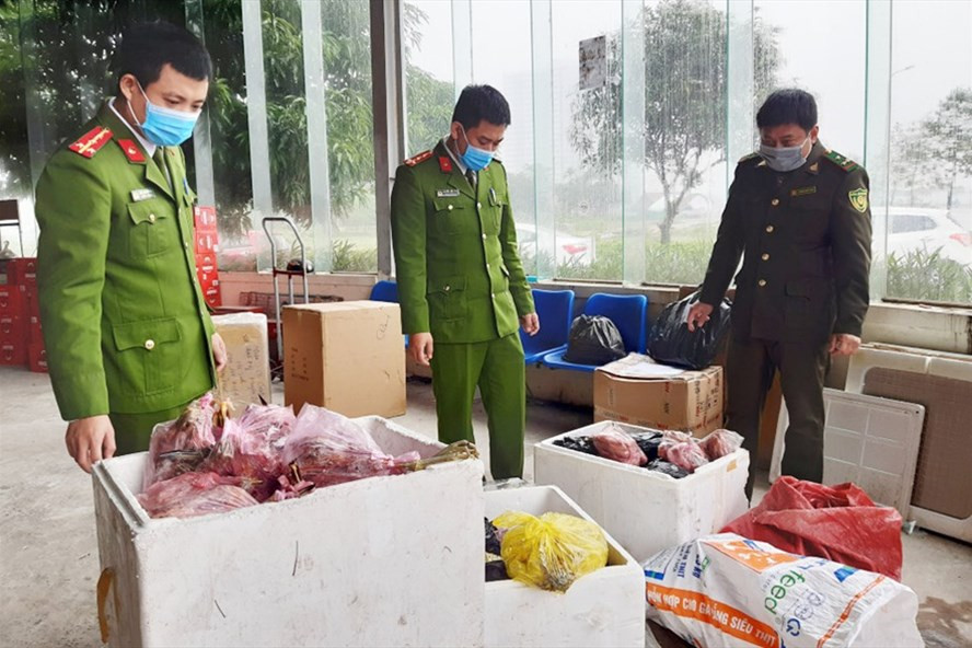 Lực lượng chức năng Hà Tĩnh bắt vụ vận chuyển 209 con chim Vạc đã sơ chế đông lạnh. Ảnh: CA. Lực lượng chức năng Hà Tĩnh bắt vụ vận chuyển 209 con chim Vạc đã sơ chế đông lạnh. Ảnh: CA.