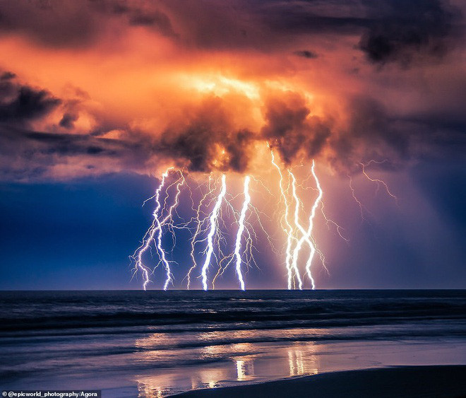 Hình ảnh ấn tượng về những tia sét trên bờ biển đảo Fraser ở Australia được chụp bởi Luke Simpson. Tác giả chia sẻ về bức ảnh: “Tôi chưa bao giờ thực sự chụp tia sét trước đây. Khi nhìn thấy cơn bão tiến đến gần tôi đã nắm lấy cơ hội của mình và thành công khi chụp được bức ảnh để đời