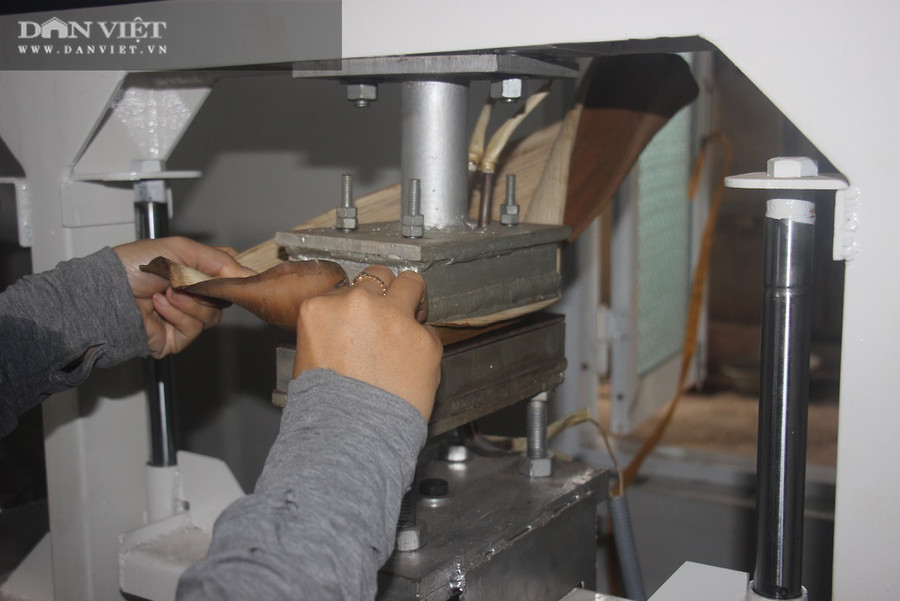 “Khi có nhiều nơi sản xuất mo cau thành đồ gia dụng thì người dân dần dần sẽ thay đổi thói quen. Từ đó, có thể giảm bớt chén nhựa, ly nhựa, hộp xốp dùng một lần đang là vấn nạn đối với môi trường hiện nay mà các nhà khoa học gọi là “ô nhiễm trắng””, anh Nguyễn Sơn Tịnh, thị xã Hoài Nhơn, tỉnh Bình Định nói.