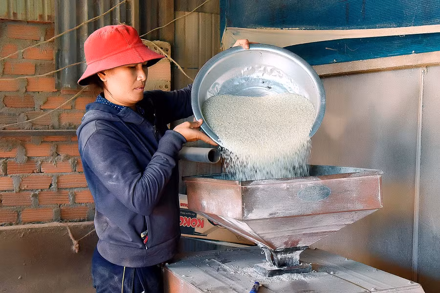 Chị Puih Alich (làng lang1, xã Ia Dêr) thành viên Tổ hợp tác cho biết: Gia đình tôi có 4 sào lúa nước 2 vụ trồng giống lúa mới J02, vụ mùa này gia đình tôi thu được 24 tạ, sau khi trừ chi phí còn lại hơn 6 triệu đồng.