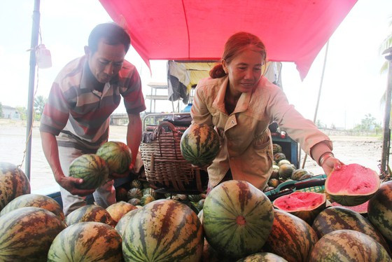 Dì Bạch Thị Huệ và chú Hồ Thanh Phương mưu sinh ở chợ nổi Phong Điền