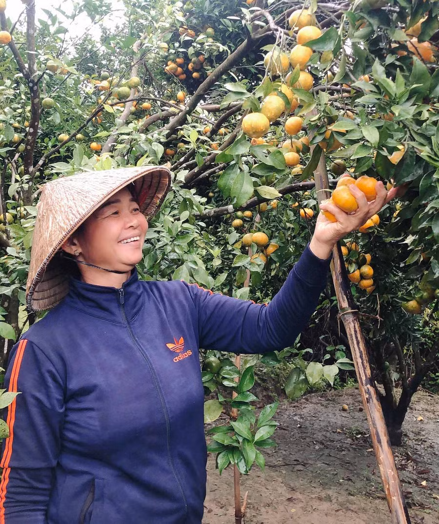 Sản phẩm cam Kon Gang đạt tiêu chuẩn VietGAP. Ảnh: Nguyễn Hồng