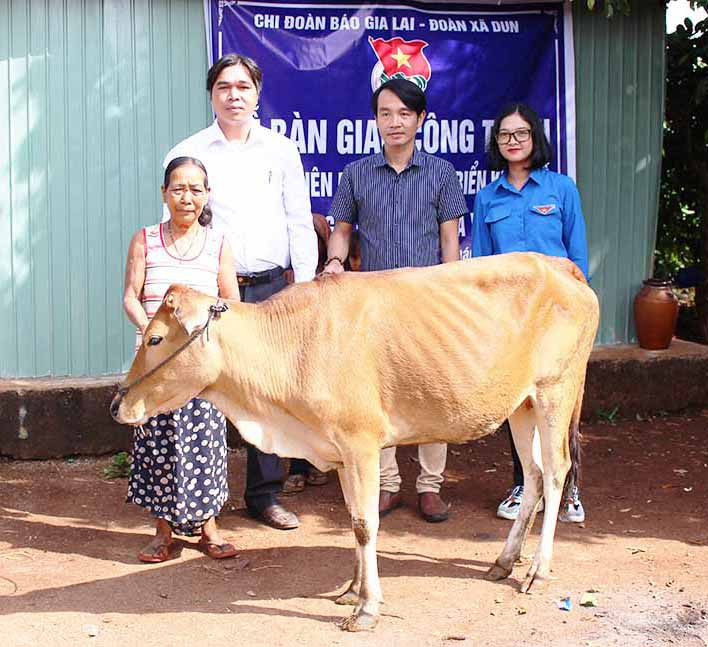Chi đoàn Báo Gia Lai phối hợp cùng Đoàn xã Dun tặng bò cho 4 bà cháu Siu A Yoai-ảnh Mộc Trà