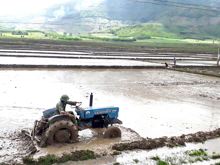 Người dân xã Tơ Tung (huyện Kbang) chuẩn bị đất sản xuất vụ Đông Xuân. Ảnh: Lê Nam Người dân xã Tơ Tung (huyện Kbang) chuẩn bị đất sản xuất vụ Đông Xuân. Ảnh: Lê Nam
