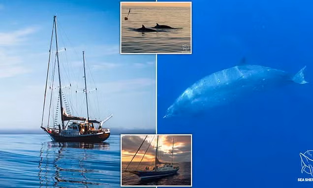 Những bức ảnh quý giá về loài 