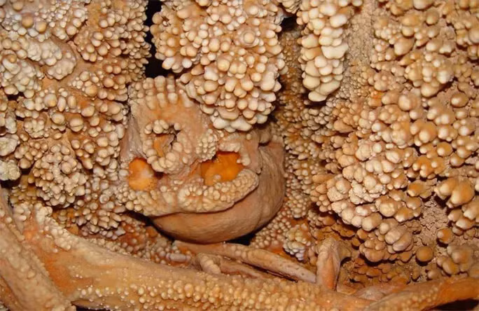 Cận cảnh hài cốt người đàn ông khác loài được thiên nhiên 