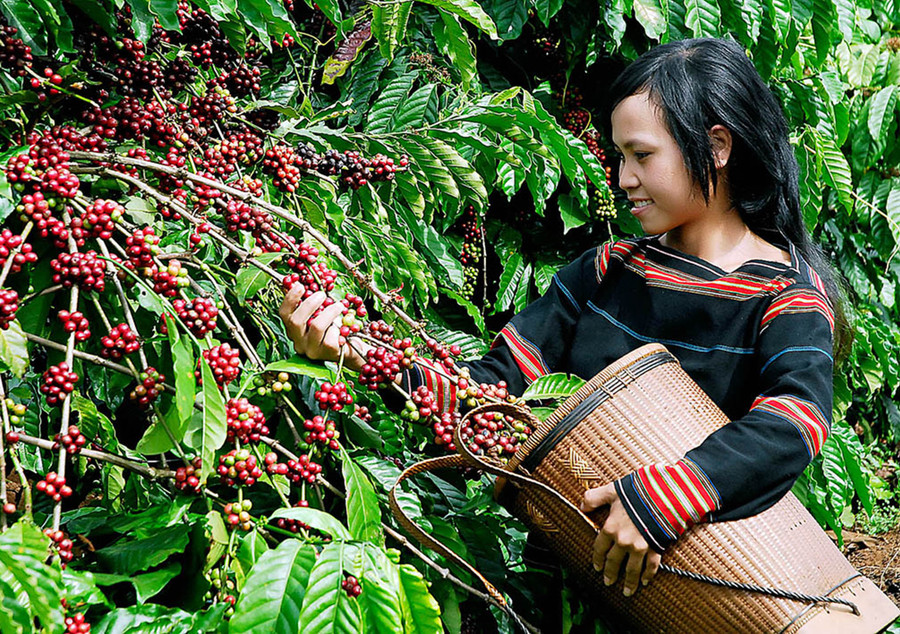  Ảnh minh họa: Đức Thụy