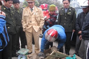 Cơ quan chức năng kiểm tra lô hàng động vật hoang dã bị phát hiện.