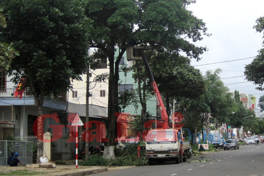 Từ đầu tháng 7, công tác cắt tỉa cây xanh đã được khẩn trương tiến hành nhằm đảm bảo an toàn trong mùa mưa và kịp tạo tán vào dịp Tết. Ảnh: Hồng Thi