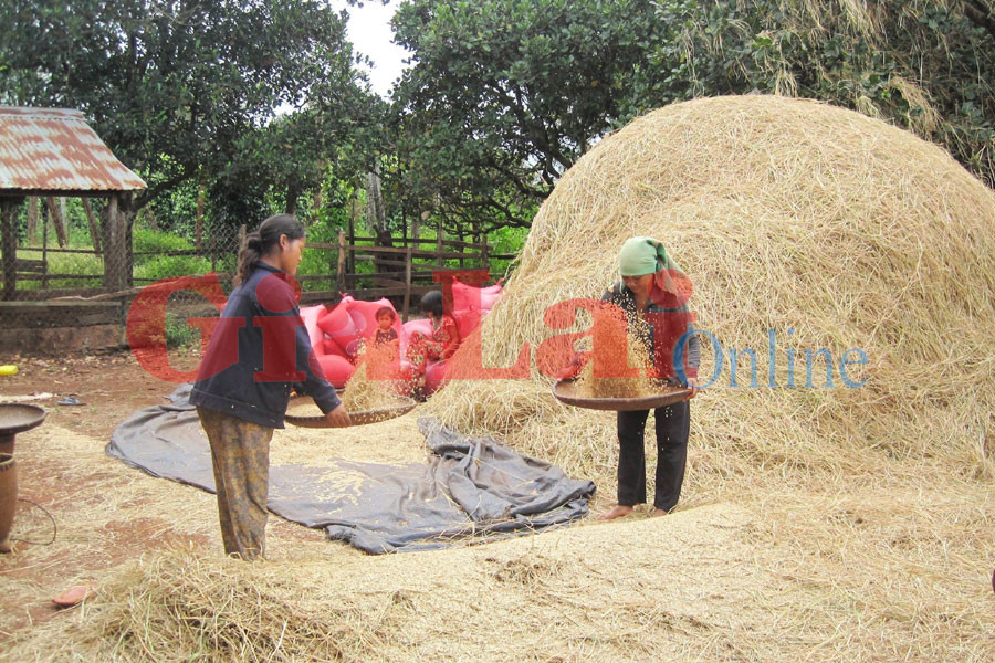 Ấm no đã đến với từng nếp nhà. Ảnh: Hồng thi