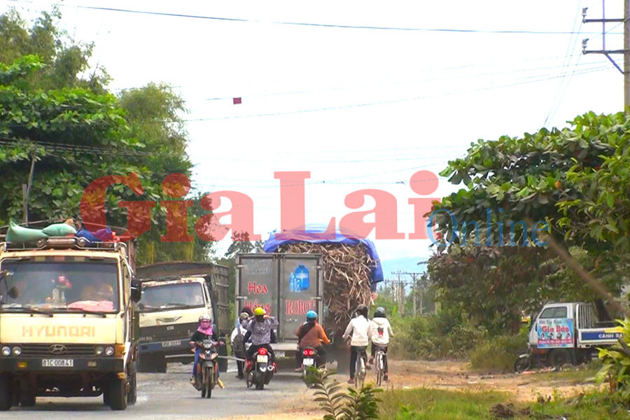 Xe quá khổ, quá tải vô tư vượt qua trước tổ kiểm tra giao thông tại huyện Phú Thiện. Ảnh: Nguyễn Giác Xe quá khổ, quá tải vô tư vượt qua trước tổ kiểm tra giao thông tại huyện Phú Thiện. Ảnh: Nguyễn Giác