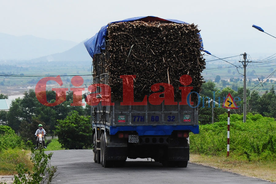 Xe tải chở đầy mía đi qua trung tâm huyện Ia Pa. Ảnh: Nguyễn Giác Xe tải chở đầy mía đi qua trung tâm huyện Ia Pa