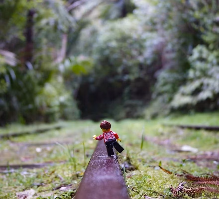  Phiêu lưu qua các công viên khu vực Auckland, cảnh quan thiên nhiên của New Zealand được biết là rất hùng vĩ và sinh động.