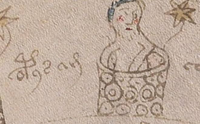 Hình vẽ mô tả một người đang tắm, với chú thích "tu sĩ tắm". Ảnh: Telegraph. Hình vẽ mô tả một người đang tắm, với chú thích