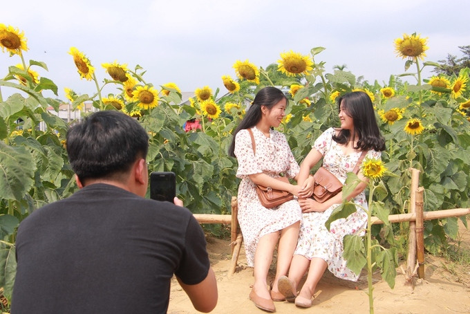  Mùa hè, thời tiết ở Huế nắng gắt. Sáng sớm hoặc chiều tà là thời gian lý tưởng cho du khách đến chụp ảnh.