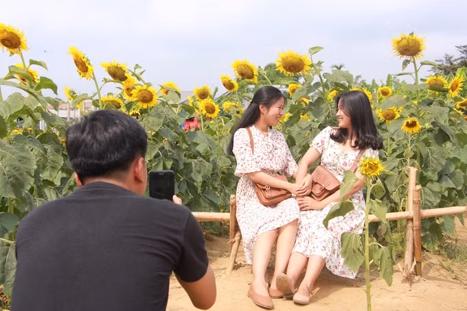  Mùa hè, thời tiết ở Huế nắng gắt. Sáng sớm hoặc chiều tà là thời gian lý tưởng cho du khách đến chụp ảnh.