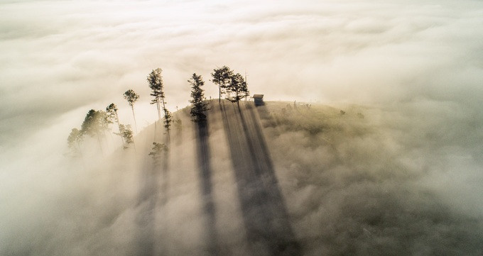  Nói đến thiên đường mây bay phố núi, bạn không thể bỏ qua thung lũng Dasar nằm trong những ngọn đồi phía ngoại ô thuộc huyện Lạc Dương. Khung cảnh hoang sơ với thông xanh khiến thung lũng Dasar càng huyền ảo.