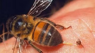 Ảnh minh họa (nguồn internet)