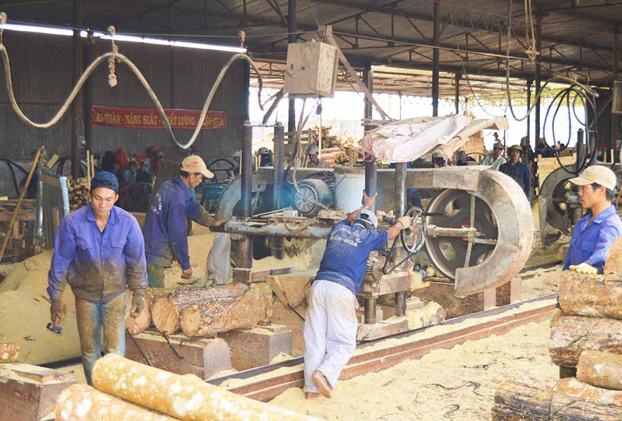  Công nhân chế biến gỗ cao su có nguy cơ rủi ro cao về tai nạn lao động, bệnh nghề nghiệp. Ảnh: đ.y