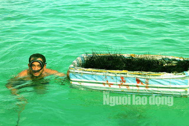 Trong chuyến tham quan các đảo, du khách được trải nghiệm lặn ngắm san hô và bắt con nhum để thưởng thức