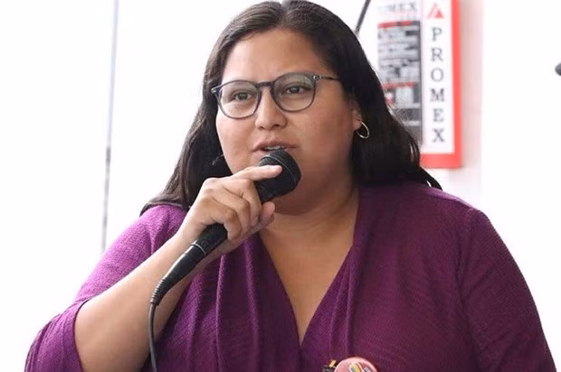 Thượng nghị sỹ Citlalli Hernández. (Nguồn: mexiconewsdaily.com)