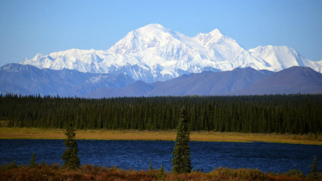 Vườn quốc gia Denali, Mỹ: Nằm tại bang Alaska, vườn quốc gia Denali là một khu bảo tồn thiên nhiên rộng lớn với các loài động vật đặc trưng như gấu và nai sừng tấm Bắc Mỹ. 