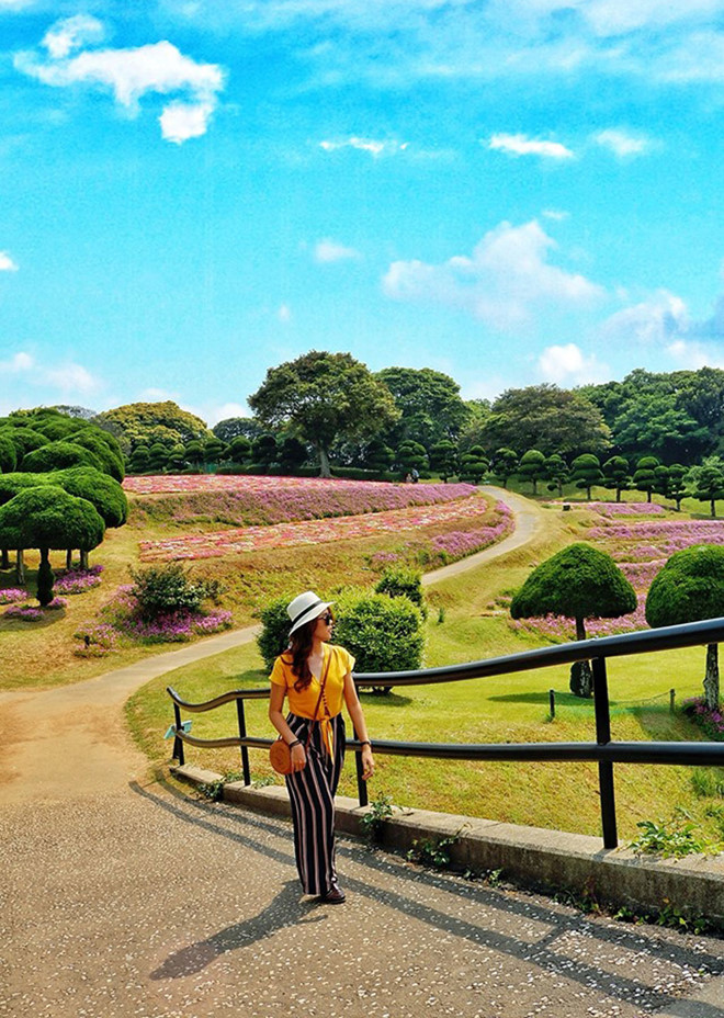 Vườn hoa ở công viên Nokonoshima Island  Vườn hoa ở công viên Nokonoshima Island