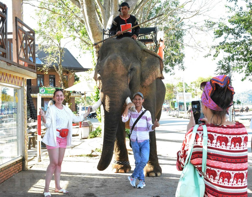  Du khách chụp ảnh kỷ niệm với voi. 