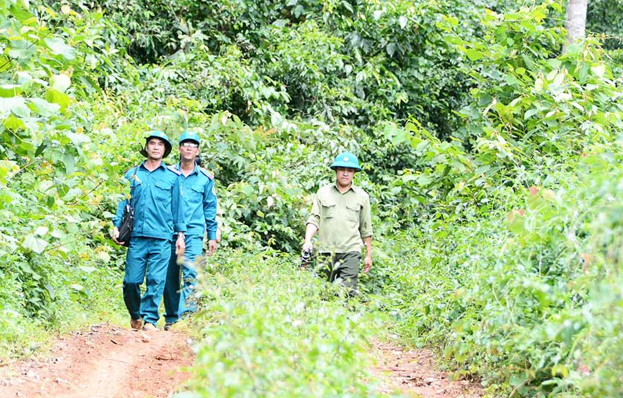 Huyện Kbang kiến nghị sáp nhập các công ty lâm nghiệp nhằm tinh giảm lực lượng gián tiếp tăng cường lực lượng trực tiếp bảo vệ rừng. Ảnh: M.N Huyện Kbang kiến nghị sáp nhập các công ty lâm nghiệp nhằm tinh giảm lực lượng gián tiếp tăng cường lực lượng trực tiếp bảo vệ rừng. Ảnh: M.N