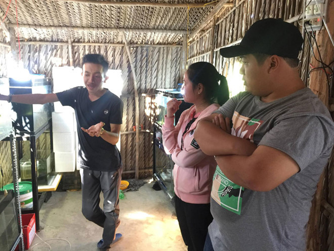 Đặng Phát Cường tư vấn cách nuôi cá nước lợ trong hồ kiếng nước ngọt cho khách hàng Đặng Phát Cường tư vấn cách nuôi cá nước lợ trong hồ kiếng nước ngọt cho khách hàng