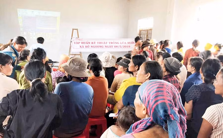  Buổi tập huấn tại làng Amo (xã Bờ Ngoong, huyện Chư Sê, Gia Lai). Ảnh: Trần Dung