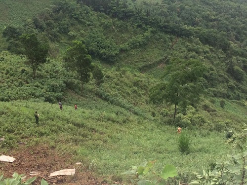  Lực lượng chức năng tìm kiếm nạn nhân dưới vực. Ảnh: CTV