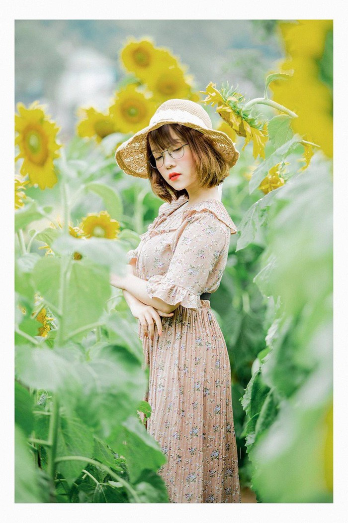  Cánh đồng hoa hướng dương luôn là địa điểm hút khách du lịch. Ai ai cũng háo hức, thích thú pose hình. Vườn hoa Hướng dương ở thành phố Pleiku trở thành địa điểm check in cực hot trong hè này.