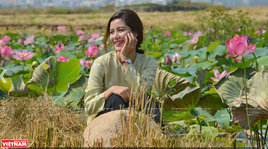  Thiếu nữ Huế đằm thắm khoe sắc cùng sen