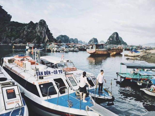 Nếu muốn tới Cái Rồng để kịp chuyến tàu sáng ra đảo thì bạn phải đến Bãi Cháy trước 17h hôm trước cho kịp chuyến xe buýt cuối cùng và nghỉ lại tại Cái Rồng. Nếu muốn tới Cái Rồng để kịp chuyến tàu sáng ra đảo thì bạn phải đến Bãi Cháy trước 17h hôm trước cho kịp chuyến xe buýt cuối cùng và nghỉ lại tại Cái Rồng.