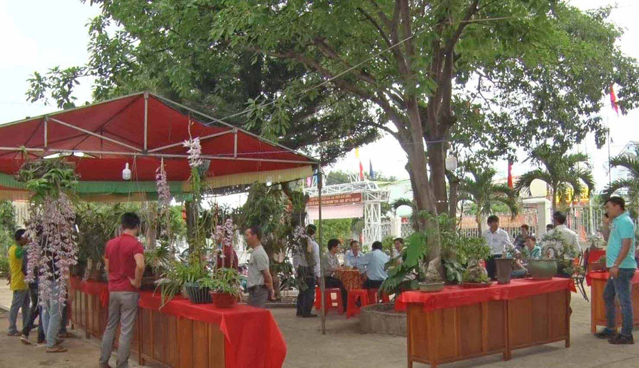  Hội sinh vật cảnh huyện Mang Yang. Ảnh: Hà Phương